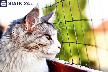 Siatki Węgrów - Siatka na balkony dla kota i zabezpieczenie dzieci dla terenów Węgrowa